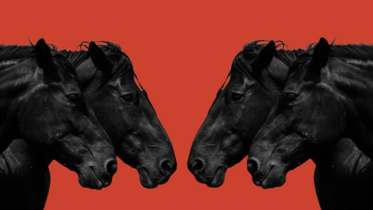 Image of horses on red background.