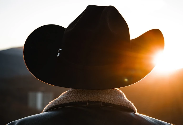 Cowboy looking at sunset